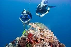 Underwater Experience
