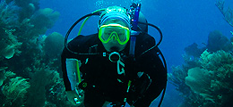 Tubbataha Reef Diving