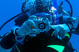 Underwater Photography